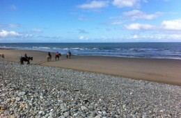 gallery-beach1